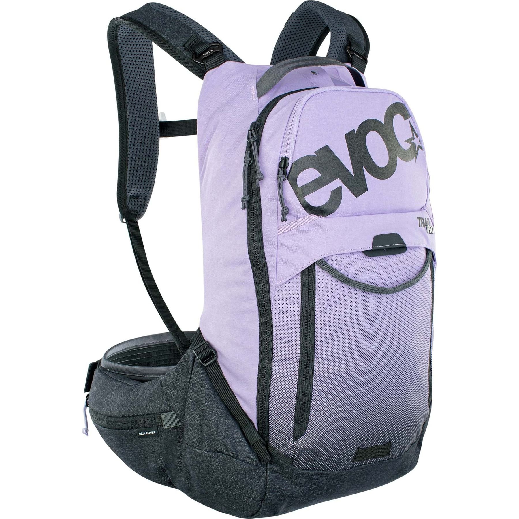 Purple/Grey