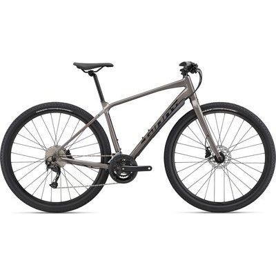 Giant ToughRoad SLR 2 City Bike