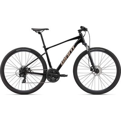 Giant Roam Disc 4 City Bike