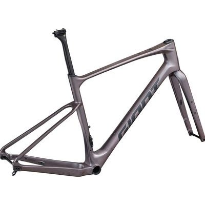 Giant Revolt Advanced Pro Gravel Frameset