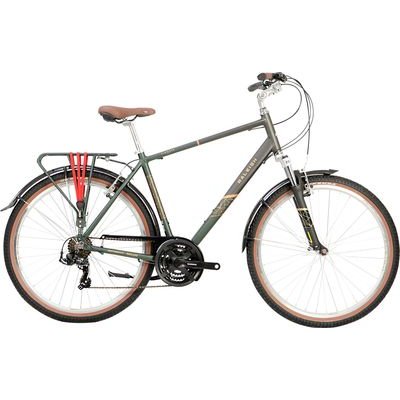 Raleigh Pioneer Trail City Bike